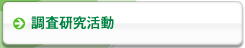 調査研究活動