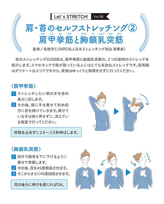 首のストレッチングの2回目は、肩甲挙筋と胸鎖乳突筋の、2つの筋肉のストレッチを紹介します。スマホネックで肩が凝っている人にはとても有効なストレッチです。首周囲はデリケートなエリアですから、実施はゆっくりと無理をせずに行ってください。