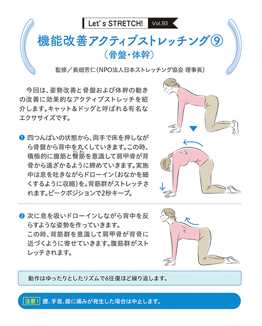 今回は、姿勢改善と骨盤および体幹の動きの改善に効果的なアクティブストレッチを紹介します。キャット＆ドッグと呼ばれる有名なエクササイズです。