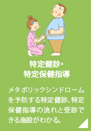 特定健診・特定保健指導／メタボリックシンドロームを予防する特定健診、特定保健指導の流れと受診できる施設がわかる。