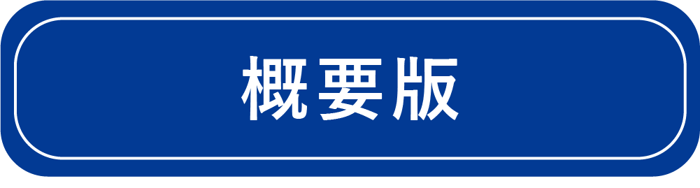 概要版